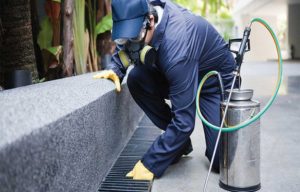 Why choosing Pest Control Agency is safe