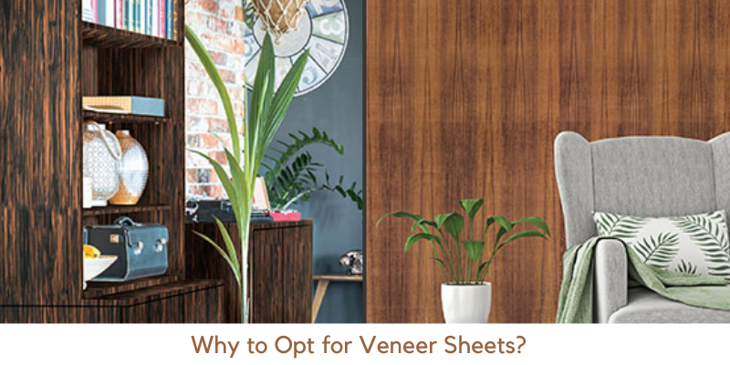 Veneer Sheets