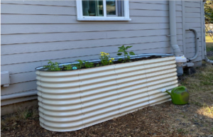 Build Your Garden Bed At Your Home