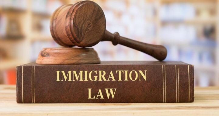 Immigration Consultant