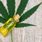 Understanding the key features of cannabis oil